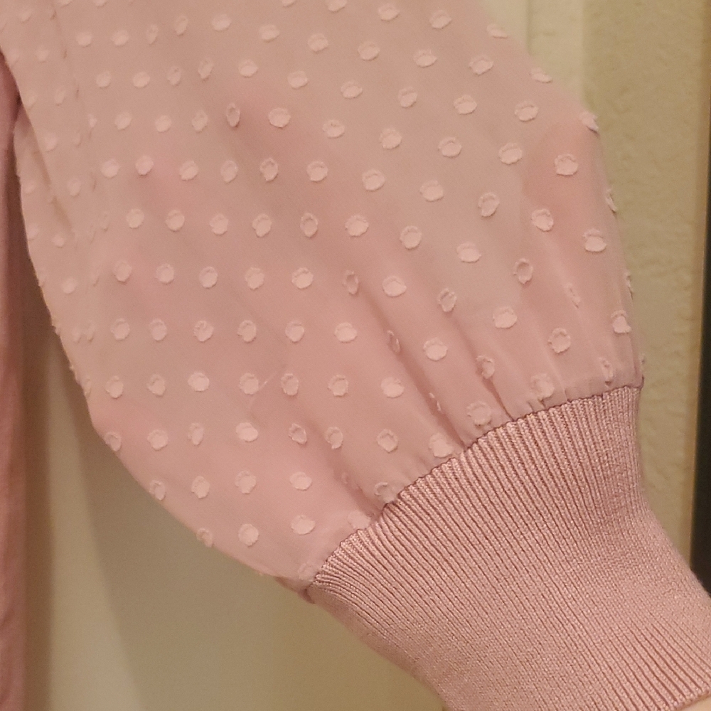Sheer Sleeve Pink Sweater - Picture 2 of 5
